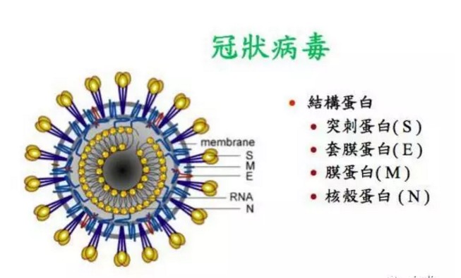 接觸角測量儀與口罩的關系 1.JPG